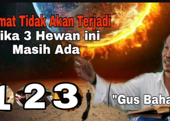 Selama Masih Ada 3 Jenis Hewan Ini Maka Kiamat Masih Jauh, Kata Gus Baha