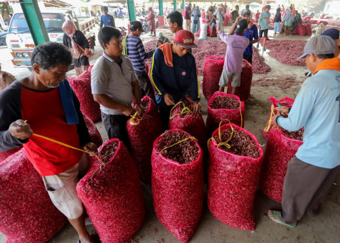 Ganjar Revitalisasi Pasar Bawang Sengon Brebes, Pasar Nyaman 250 Pedagang Senang
