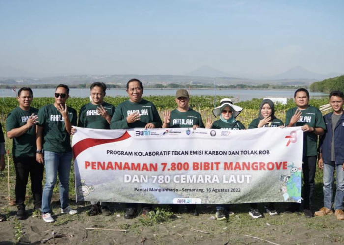 Tekan Emisi Karbon, Pertamina Patra Niaga JBT Lakukan Tanam Mangrove dan Cemara Laut