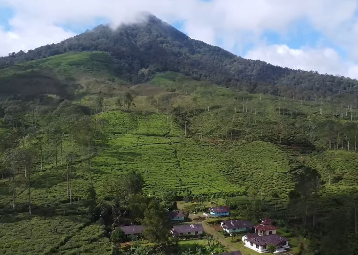 Menjelajahi Desa Tersepi di Kabupaten Batang, Hanya Dihuni 6 KK Saja