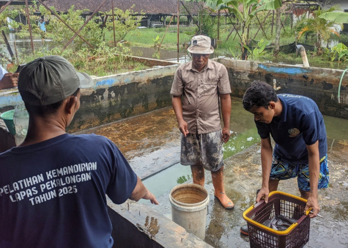 Wujudkan 15 Program Aksi Menteri, Lapas Pekalongan Warnai Panen Raya Serentak se-Indonesia