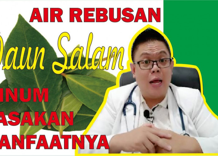 Ini 2 Manfaat Daun Salam yang Baik Untuk Kesehatan, Mau Tahu?