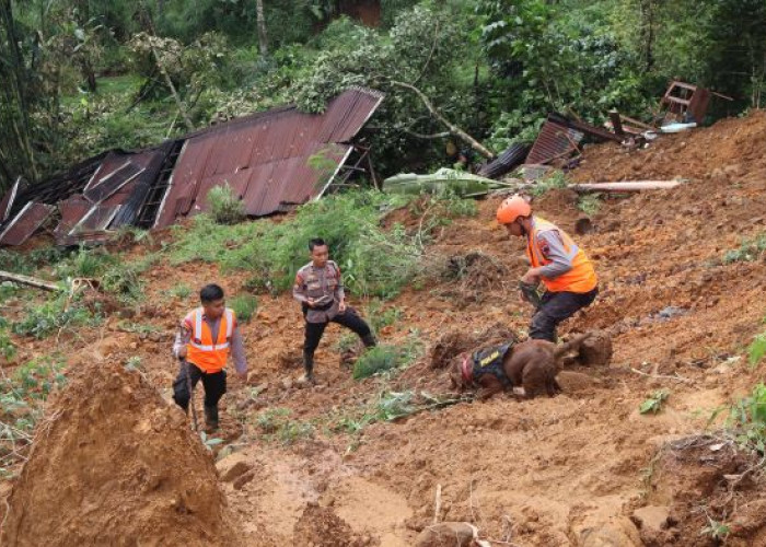 Korban Meninggal Longsor Petungkriyono Pekalongan Bertambah 20 Orang, Bayi Abyaz Ditemukan Meninggal