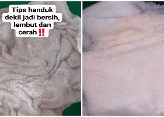 Cara Ampuh Membersihkan Handuk Dekil agar Cerah dan Lembut Lagi Tanpa Capek Mengucek