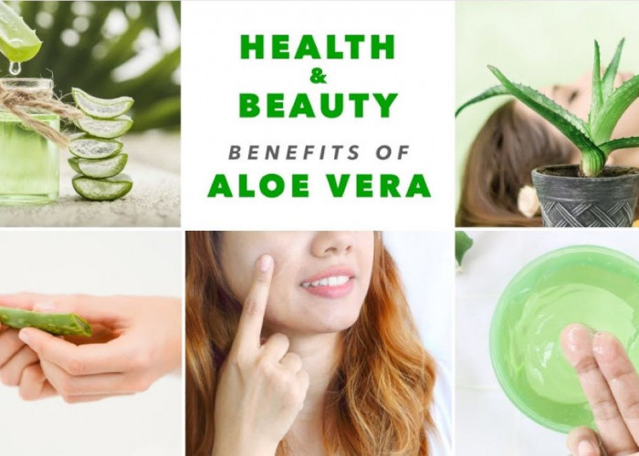 2 Cara Memanfaatkan Lidah Buaya untuk Perawatan Kulit, Jadikan Masker Wajah di Rumah