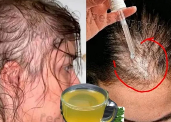 Begini 4 Cara Pakai Olive Oil untuk Rambut yang Benar, Bikin Rambut jadi Sehat dan Hitam Permanen Dengan Cepat