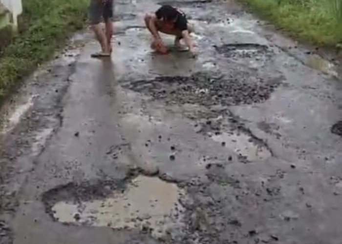 Jalan Poros Kalimojosari-Jrebengkembang di Pekalongan Rusak Parah