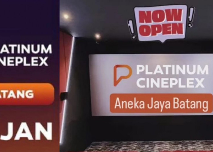 Ada 4 Film Pilihan, Jadwal Film Bioskop Cineplex Batang 20 Januari 2024