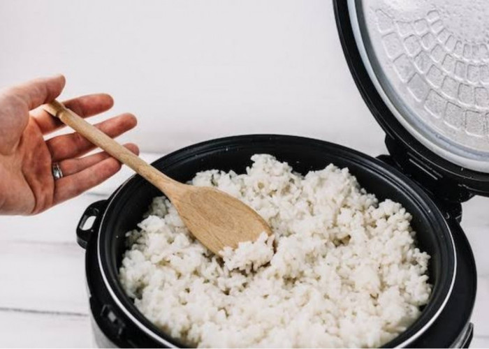 Begini 4 Cara Membersihkan Kerak di Rice Cooker dengan Cepat dan Mudah, Pakai Bahan Ini untuk Menghilangkanya!