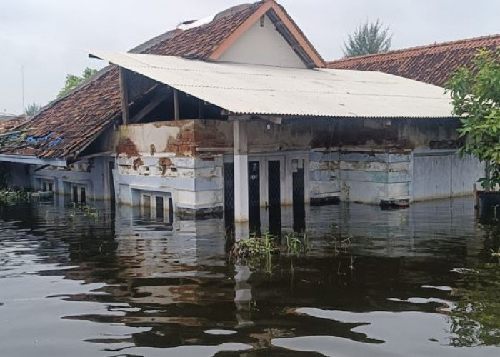 Banjir di Kabupaten Pekalongan Kian Meningkat, 1.587 Warga Mengungsi hingga Kamis Sore