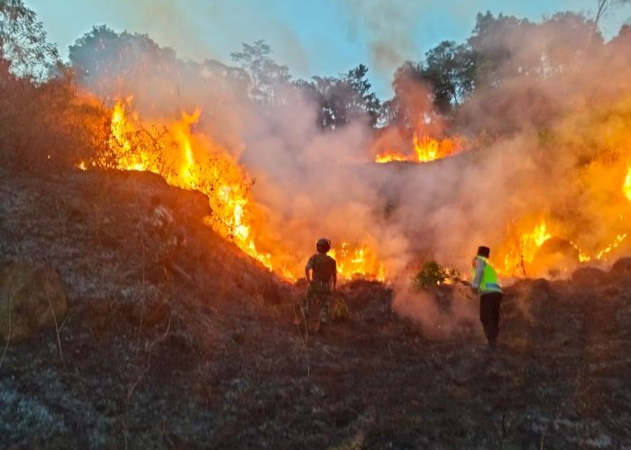 Kobaran Api Membumbung Tinggi di Watupayung, Personel Gabungan Berjibaku Padamkan Kebakaran Lahan