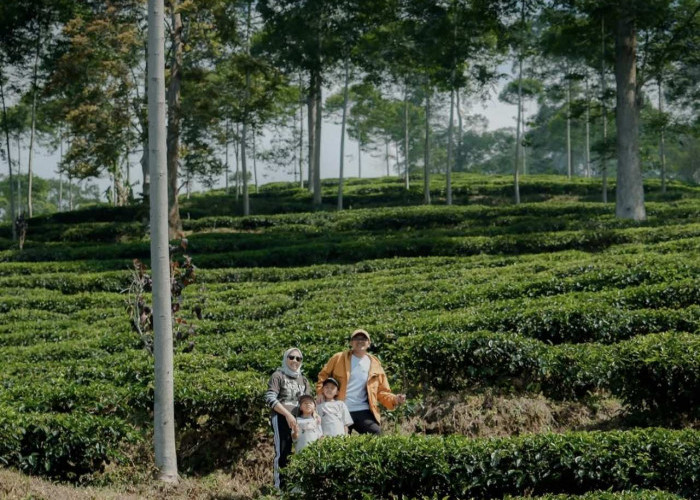 Dorong Pengembangan Pariwisata, Bupati Batang Integrasikan Infrastruktur hingga Ekonomi Kreatif