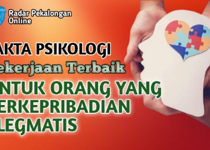 Mau Tahu Pekerjaan Terbaik Untuk Orang yang Berkepribadian Plegmatis menurut Psikologi? Ini Dia Jawabannya