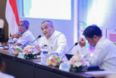 Alasan KEK dan Kawasan Industri di Jawa Tengah Jadi Magnet Investasi