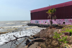 Dua Hektare Lahan Wisata Pantai Sigandu Batang Terendam Rob, Pemkab Siapkan Penataan 