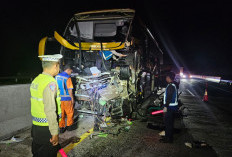 Bus Pariwisata Tabrak Seruduk Truk di Tol Batang-Semarang, 1 Tewas dan 4 Luka-Luka