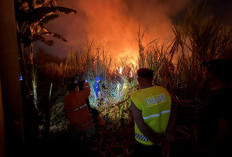 Kebun Tebu Seluas 1 Hektar di Bojong Terbakar Tengah Malam