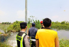 Tanggul Sungai Silempeng di Desa Depok Pekalongan Jebol, Belasan Hektare Sawah Terdampak