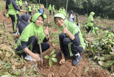 Ratusan Siswa SD Muhammadiyah Kajen Tanam Kopi, Edukasi Cinta Alam dan Ekonomi Produktif