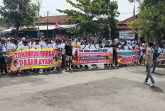 Ratusan Peternak Ayam Petelur di Batang Gelar Aksi Damai, dan Bagikan Ratusan Ayam