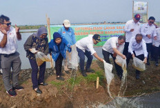 Rencana Pembangunan Giant Sea Wall hingga Batang Terus Dimatangkan, Ini Tantangannya