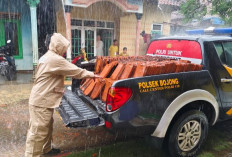 Puluhan Rumah di Desa Bukur Rusak Dihajar Puting Beliung, Polisi Terjun ke Lokasi Bencana