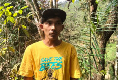 Warga Pegunungan Mendolo Kerap Temui Jejak Macan, dari Tapak Kaki hingga Auman di Malam Hari