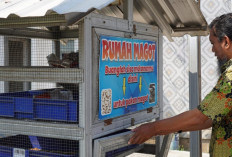 Kelola Sampah Organik, KSM Gemilang Pekalongan Bangun Ekosistem Lingkungan Berkelanjutan