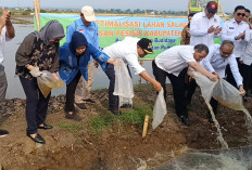 Bupati Faiz: Tidak Ada Lahan Mati, Bio Salin Jadi Harapan Baru Petani Pesisir Batang