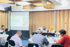 Urban Farming Pekalongan Mulai Naik Kelas, Kelompok Didorong Perkuat Produksi dan Pasar
