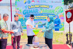 Gemar Jariah, Gerakan Baru Mengolah Jelantah Menjadi Rupiah