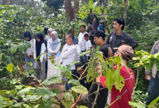 Yamaha Classy HangoutDay Kudus, Daela: Excited Banget, Bisa Petik Kopi dan Belajar Racik Kopi Sendiri