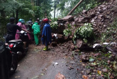 Guru Terjebak Longsor Kroyakan Usai Mengajar, Perjuangan Menembus Jalur di Tengah Hutan Doro–Petungkriyono