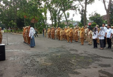 Kabar Gembira! THR ASN Pemkab Pekalongan Siap Cair 13 Maret 2026