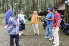 Disparpora Batang Pastikan Keamanan Wisatawan Saat Liburan Idulfitri, Forest Kopi Catat Lonjakan Pengunjung