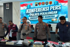 Polres Pekalongan Ungkap Perkembangan Kasus Tewasnya Pemuda di Karangdadap, Pisau Berdarah dan Hasil Forensik 