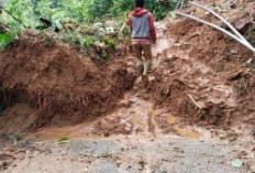 Kerja Sampai Tengah Malam, Alat Berat Diterjunkan Tangani Longsor Jalur Curug Muncar–Songgodadi Petungkriyono