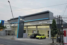 BYD Haka Tegal Hadir, Masyarakat Kini Bisa Beli Mobil Listrik BYD  Lebih Dekat