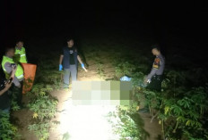 Kakek 82 Tahun Ditemukan Meninggal di Kebun Singkong di Kajen, Usai 2 Hari Hilang