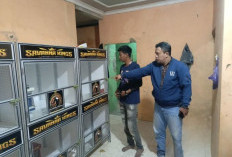 Dua Merpati Rp70 Juta Digondol Maling di Bojong Pekalongan