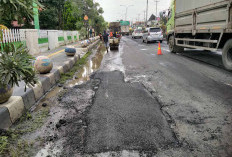 Perbaikan Jalan Nasional Dipercepat, Target Semua Lubang di Pantura Batang Tertutup Sebelum 25 Januari