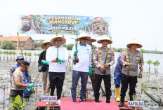Tekan Risiko Abrasi dan Rob di Pesisir Batang Lewat Green Policing, Kapolda Jateng Tanam Mangrove di Denasri