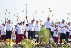 Atasi Abrasi Pantura, AHY dan Ahmad Luthfi Tanam Mangrove di Demak Gunakan Teknologi HexBricks