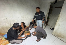 Edarkan Ganja, 2 Nelayan di Wiradesa Pekalongan Ditangkap Polisi