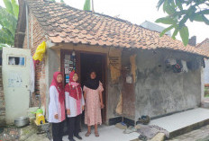 Wujudkan Hunian Layak, Dinperkim Kota Pekalongan Targetkan Perbaikan 226 Unit RTLH di Tahun 2026