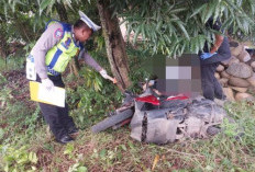 Dua Pemotor Dari Desa Jagung Tewas Tabrak Pohon di Bojong