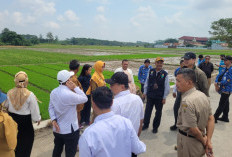 Tim Pusat Lakukan Verifikasi Calon Lokasi PSEL Pekalongan Raya di Kota Pekalongan