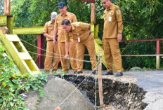 Plt Bupati Pekalongan Sukirman Tinjau Jalan Rusak, Perbaikan Jadi Prioritas Hingga 2027