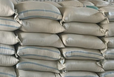 Pemkab Pekalongan Siapkan 34,5 Ton Gabah untuk Antisipasi Krisis Keadaan Darurat