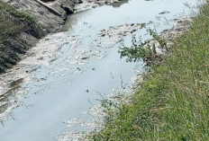 Debit Daerah Irigasi Kabupaten Pekalongan Menyusut Drastis, Ratusan Hektare Sawah Terancam Kekurangan Air